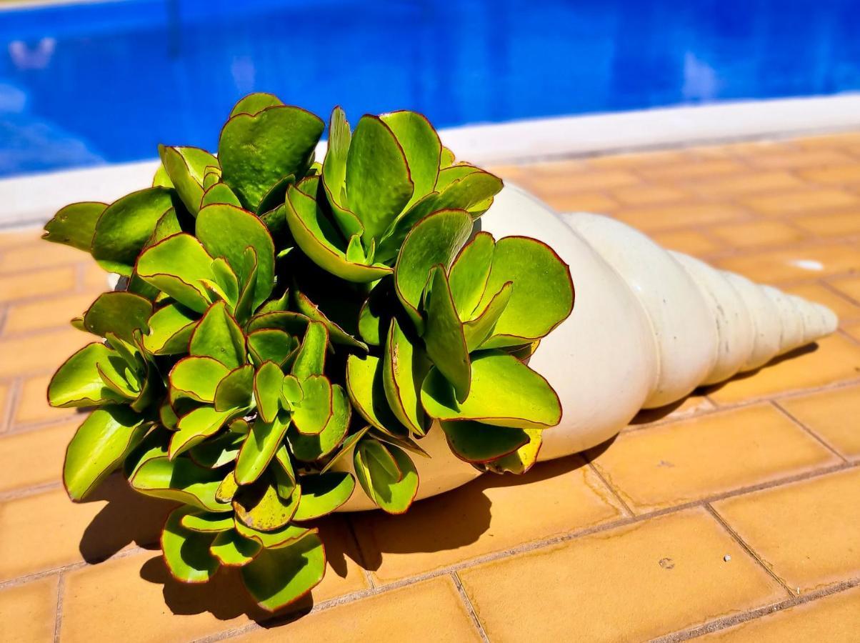 Flh Vilamoura Summer Flat With Pool エクステリア 写真